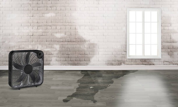  Woodcreek, TX Water damage restoration Pros