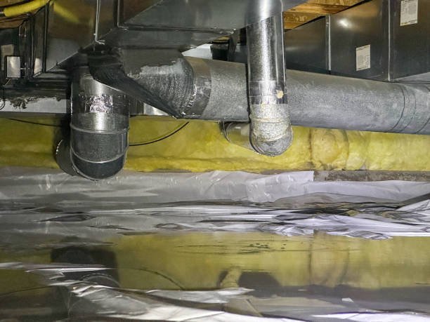 Best Mold removal after water damage  in Woodcreek, TX